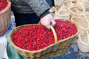 Image showing hand farmer wick basket mossberry market ecologic 