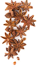 Image showing anisetree anise