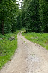 Image showing Forest