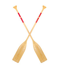 Image showing Paddles