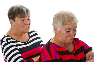 Image showing Two female seniors in dispute 