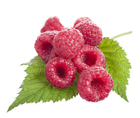 Image showing Ripe raspberry with green leaf