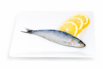 Image showing Sardine and lemon