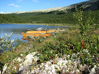 Image showing Orange boat