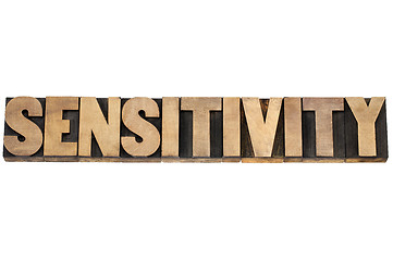 Image showing sensitivity word in wood type