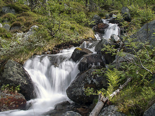 Image showing  mountain stream 