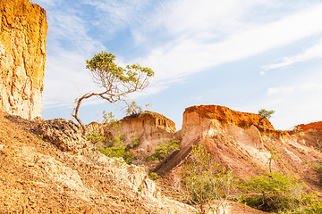 Image showing Marafa Canyon - Kenya