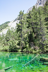 Image showing Green Lake