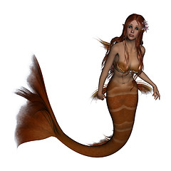 Image showing Mermaid