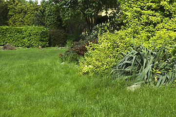 Image showing peaceful garden. spring