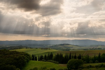 Image showing After the storm