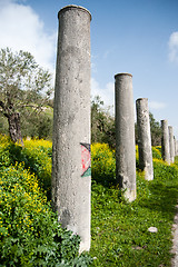 Image showing Sebastia archeology ancient ruins