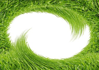 Image showing Green grass isolated on white background