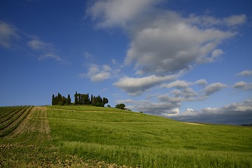 Image showing Spring in Tuscany