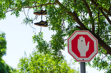 Image showing Wrong way Stop sign and shoes on the tree