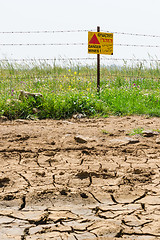 Image showing Dried soil and flowered minefield