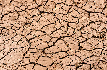 Image showing Cracked dry soil in desert background