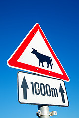 Image showing Cow sign