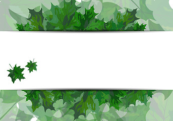 Image showing Maple leaves