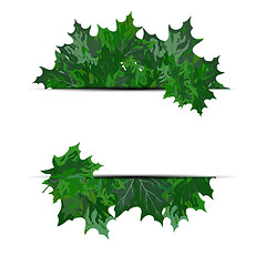 Image showing Maple leaves