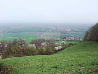 Image showing around Einkorn