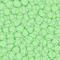 Image showing Plant cells micro pattern background