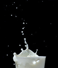 Image showing Splashing milk on black background