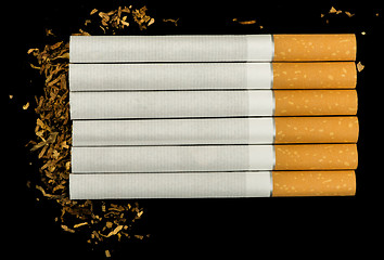 Image showing Arranged in a row cigarettes