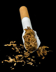 Image showing Crumpled cigarette