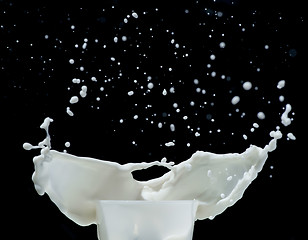 Image showing Splashing milk black isolated