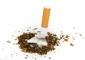 Image showing Crumpled cigarette