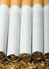 Image showing Arranged in a row cigarettes