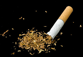 Image showing Crumpled cigarette