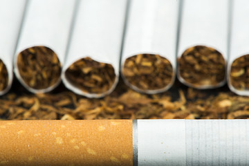 Image showing Arranged in a row cigarettes