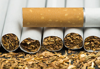 Image showing Arranged in a row cigarettes