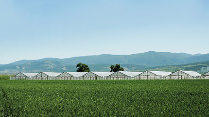 Image showing Greenhouse plantation and cultivated land