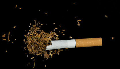 Image showing Crumpled cigarette