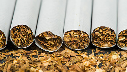 Image showing Arranged in a row cigarettes