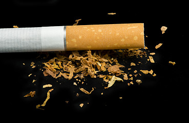 Image showing Crumpled cigarette