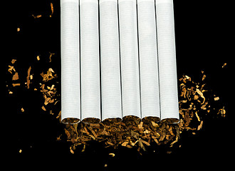 Image showing Arranged in a row cigarettes