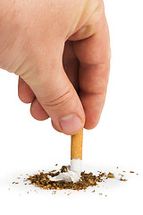 Image showing Crumpled cigarette