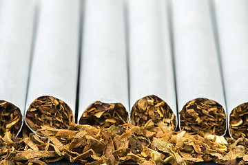 Image showing Arranged in a row cigarettes