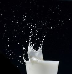 Image showing Splashing milk black isolated
