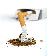 Image showing Crumpled cigarette