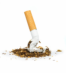 Image showing Crumpled cigarette