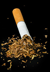 Image showing Crumpled cigarette