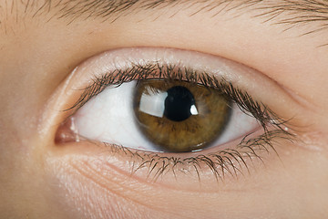 Image showing Human eye