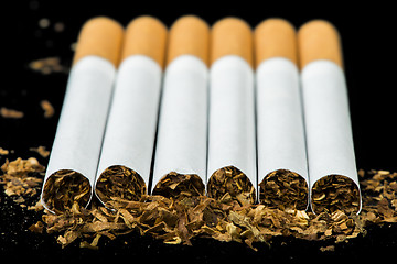 Image showing Arranged in a row cigarettes