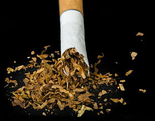 Image showing Crumpled cigarette