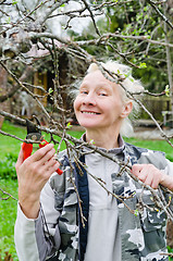 Image showing Woman cuts a branch at an Apple-tree, a spring in the garden 